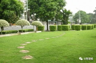 江陰市出臺新規 信用評價納入園林綠化工程招投標核心指標