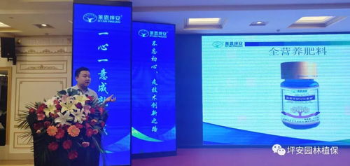 技術(shù)塑魂，服務(wù)立身 上海網(wǎng)絡(luò)技術(shù)服務(wù)的創(chuàng)新與實(shí)踐之路